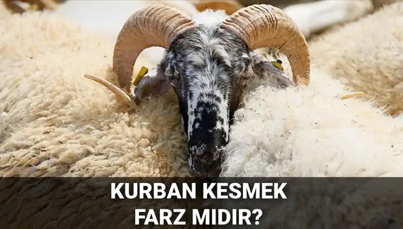 Kurban Kesmek Farz mı? Diyanet’in Kurban Kesimi Hakkındaki Görüşleri
