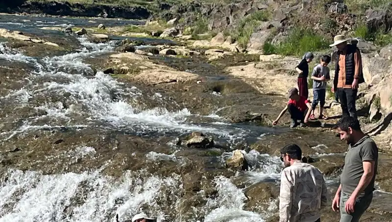 İnci Kefali Göçü: Turistler için Seyirlik Bir Doğa Harikası