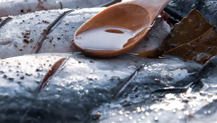 78 Yaşındaki Doktorun Sırrı: 20 Yaşına Dönüştüren 7 Besin