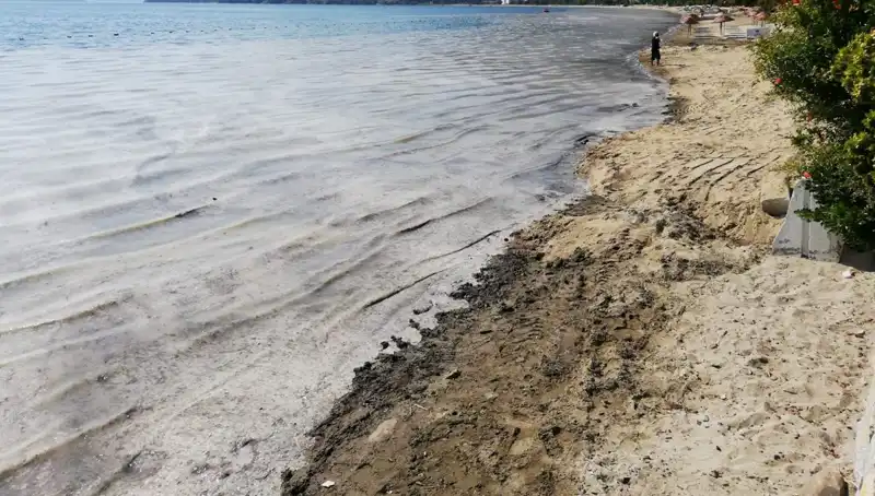 Müsilaj Problemi: 268 İşletmenin Faaliyeti Durduruldu, Neler Oluyor?
