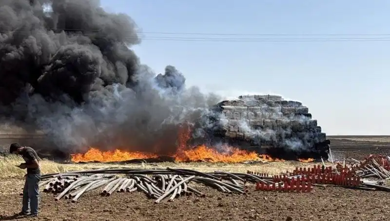 Mardin'de Anız Yangınları: Tarım Arazileri Tehlikede, Doğa Kayıpları Artıyor