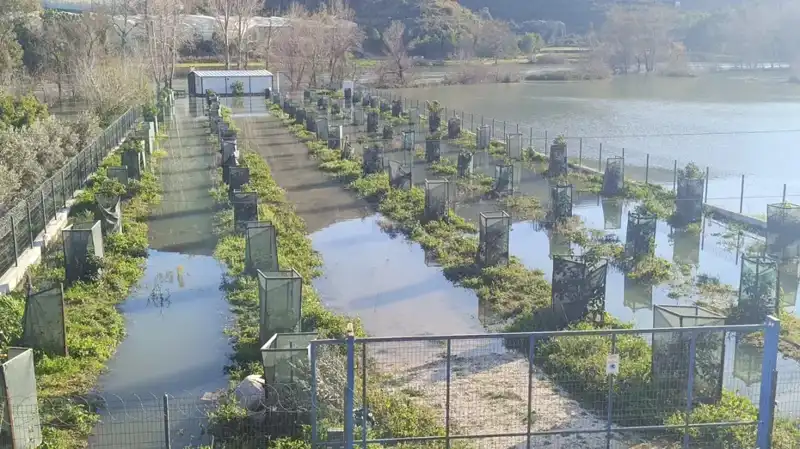 Irmak Taşması Sonrası Otoyol Şantiyesi Sular Altında Kaldı