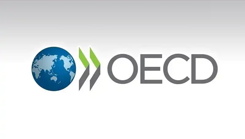 OECD Türkiye Ekonomisi için Büyüme Tahminini Revize Etti: İşte Rakamlar