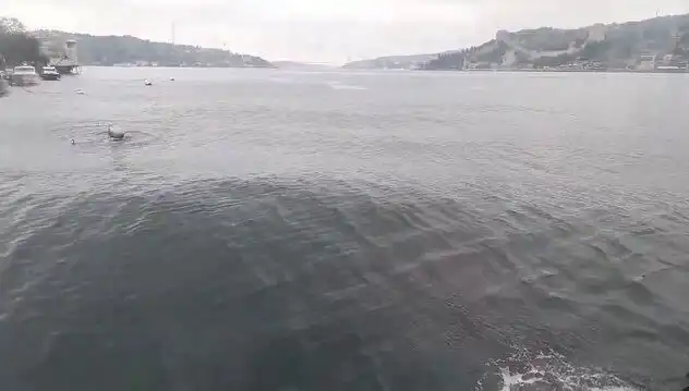 İstanbul Boğazı'nda Yükselen Dalgalar, Kentin Deniz Hayatını Tehdit Ediyor