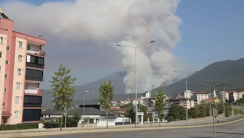 Denizli'de Orman Yangını: Şüpheli Gözaltına Alındı, Yangın Kontrol Altında