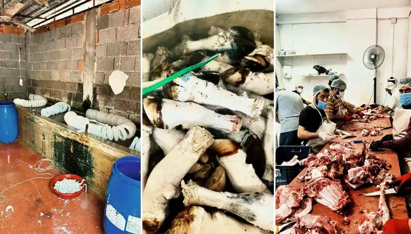 Adana'da Şok Edici Mide Bulandıran Görüntüler: Yüzlerce Kilo Paça Ele Geçirildi