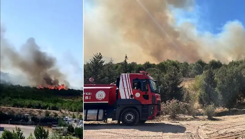 Gebze'de Korkutan Orman Yangını: Doğa ve Hayat Tehlikede