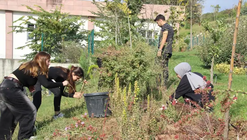Düzce’nin Eşsiz Hikayesi: Kültürel Mirası Dünyaya Açılıyor