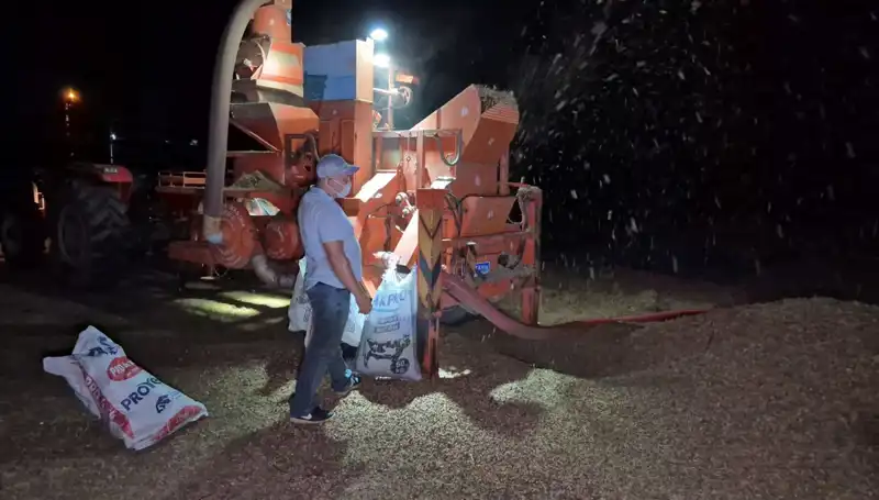 Hasat Sezonu Bitti, Çiftçilerin Nöbeti Şimdi Başladı: Neler Oluyor?