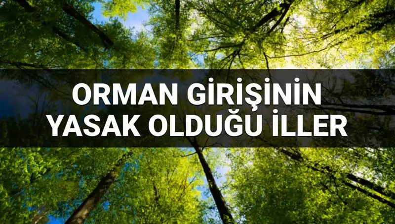 2025 Yılı İçin Hangi İllerde Ormana Girmek Yasaklandı?
