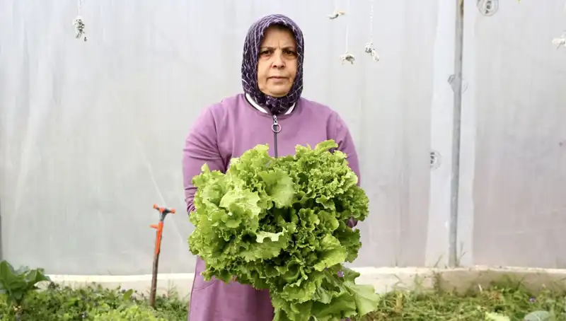 Emekli Olduktan Sonra Hayalini Gerçekleştiren Yüksel: Memleketinde Bir Çiftlik Kurdu