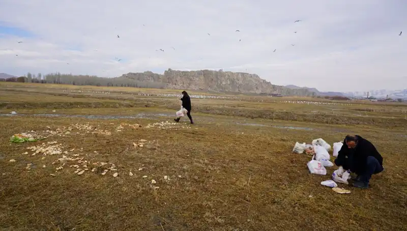 17 Yıldır Ekmek Kırıntısı Toplayan Adamın Hikayesi