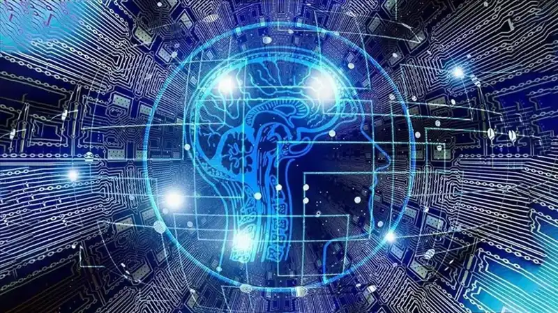 Kripto Dünyasında Şok: Bot Sürüsü Dolandırıcılığı Artırıyor!