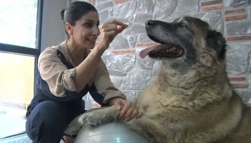 55 Kilo Fazla Obez Duman'ın Yeniden Hayata Dönüş Hikayesi