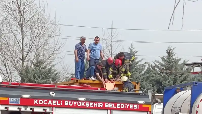 Tehlikeli Madde Taşıyan TIR'ın Tankına Düşen Adamın Korkunç Durumu