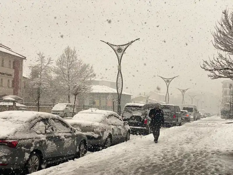 Doğanın Gücü: Kuvvetli Yağışlar Heyelan ve Çığ Tehlikesi Oluşturuyor