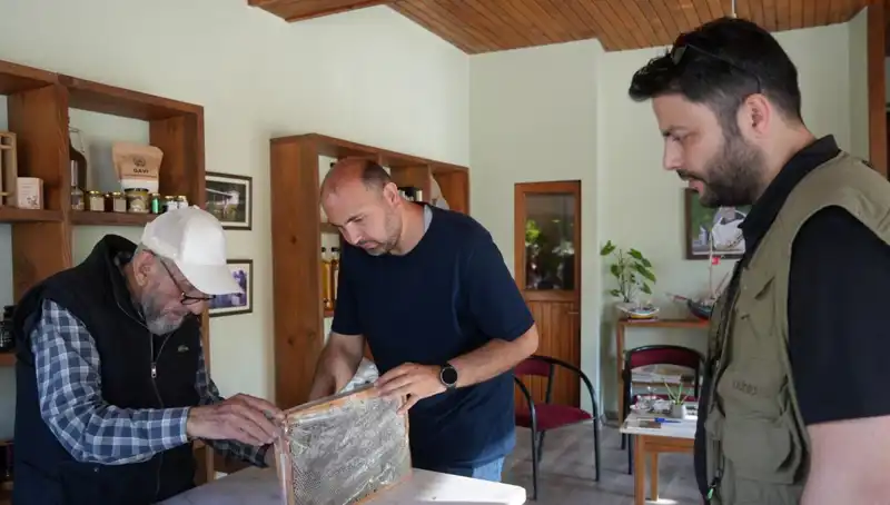 Doktorlardan Uyarı: 1 Çay Kaşığını Geçmeyin, Şifa ve Zehir Arasında