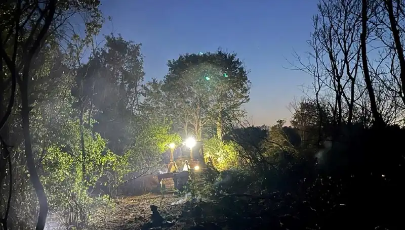 Edirne'deki Orman Yangını: Doğa ve Ekiplerin Mücadelesi