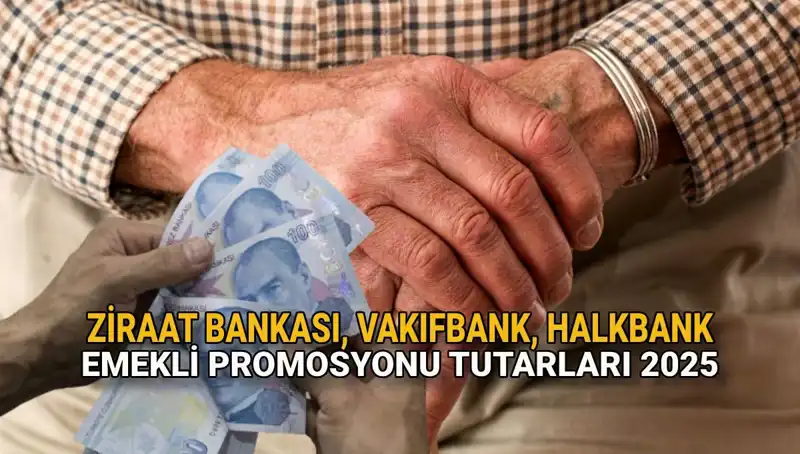 2025'te Emeklilere Özel Banka Promosyonları: Kamu Bankaları Yarışıyor!