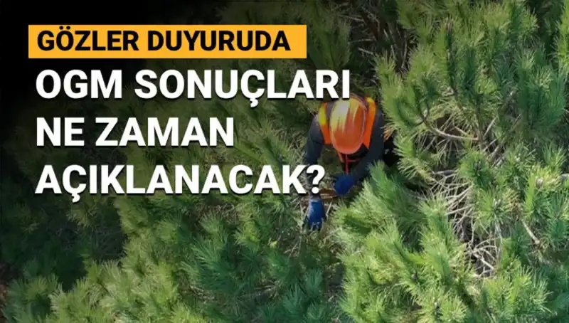 OGM Personel Alımı: 3 Bin 477 Sözleşmeli Başvuru Sonuçları Ne Zaman Açıklanacak?