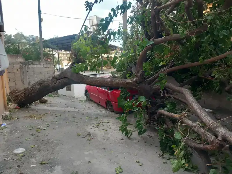 Hatay'da Şiddetli Fırtına: Ağaçlar Devrildi, Çatıların Uçuşu!