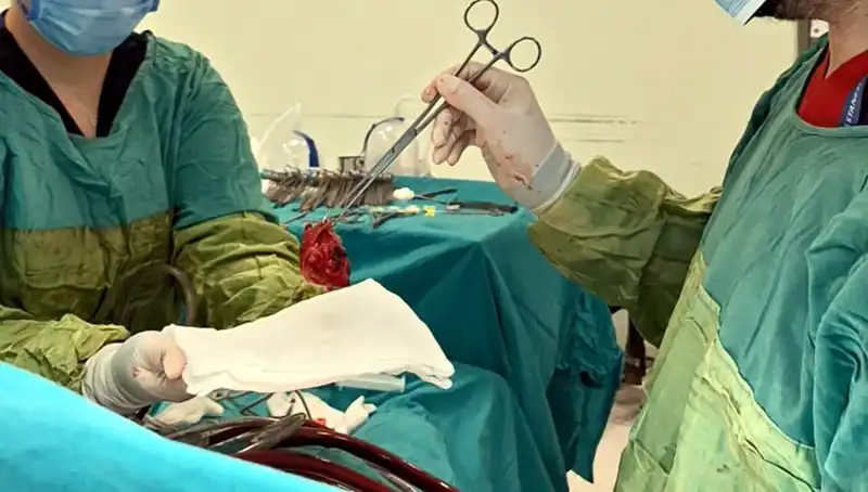 ** 7 Saat Süren Zorlu Ameliyat: Kalp Kapağı Çürüyen Hastaya Mucizevi Müdahale!