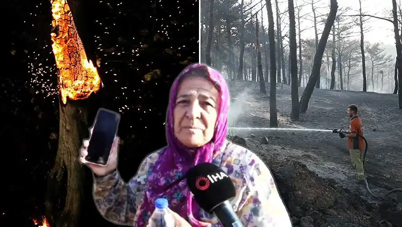 Çanakkale'deki Orman Yangınları Kontrol Altına Alındı: Kayıplar ve Kurtarılanlar